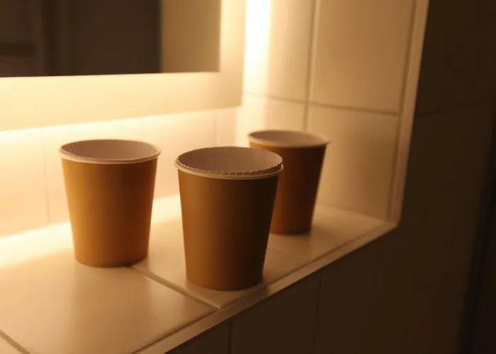 Ibis Budget Strasbourg Sud Illkirch 2* Geispolsheim